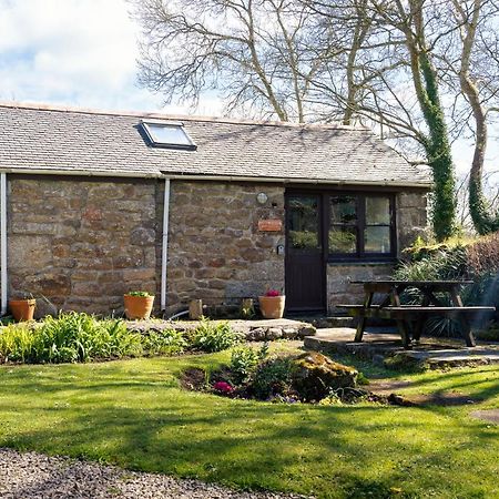 Cosy Cottage In The Beautiful Lamorna Valley - Walk To The Pub & Sea Paul 外观 照片